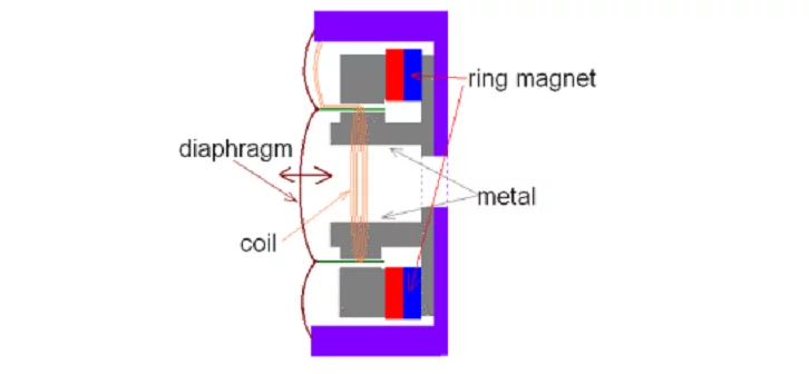 dynamic driver illustration cross-section