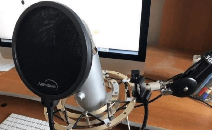 The Blue Yeti Pop Filter - 6-inch