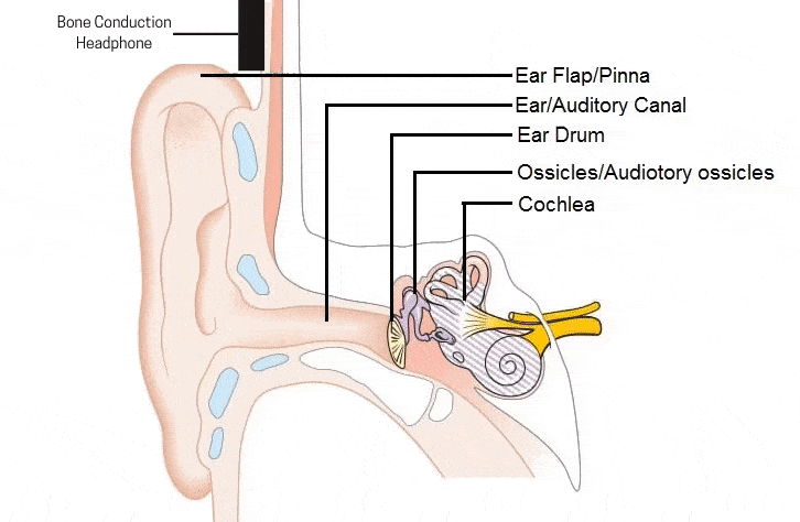 using bone conduction headphones
