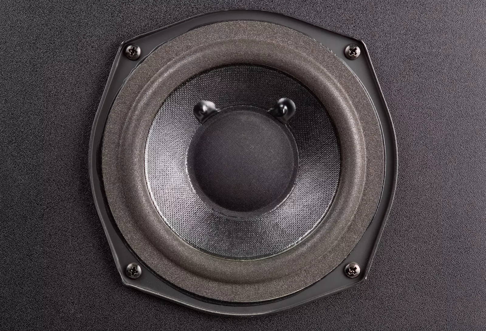 Subwoofer detail.