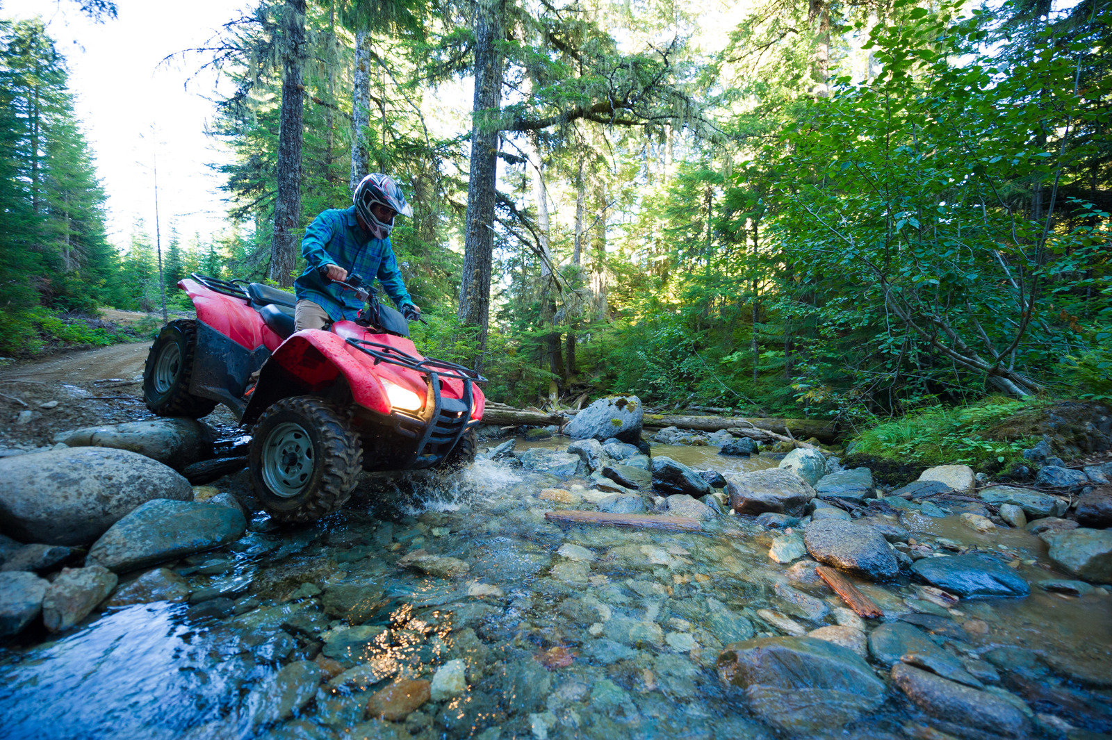 ATV or quad adventure in the forest